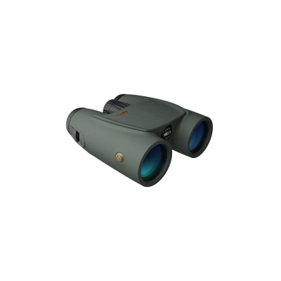 B1 Plus 10x42 HD